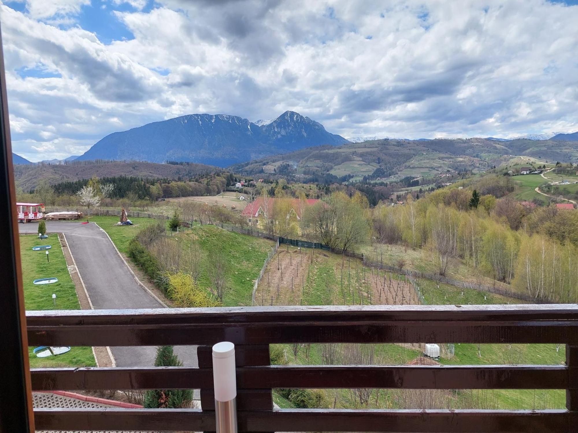 Pension Chalet Poiana Marului Ranch Ngoại thất bức ảnh